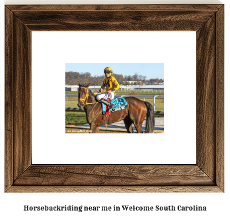 horseback riding near me in Welcome, South Carolina